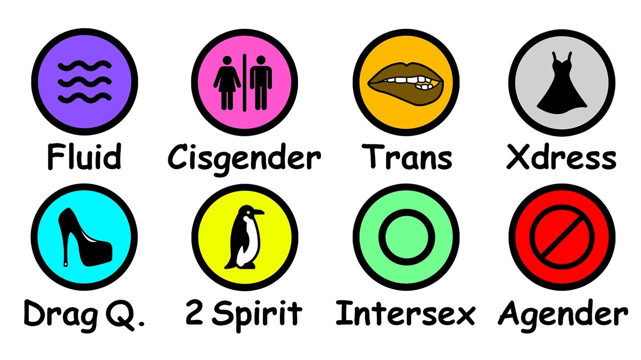 All Gender Identity Explained in 8 Minutes