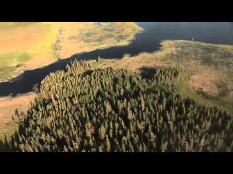 Loch Island Lodge - A peaceful escape
