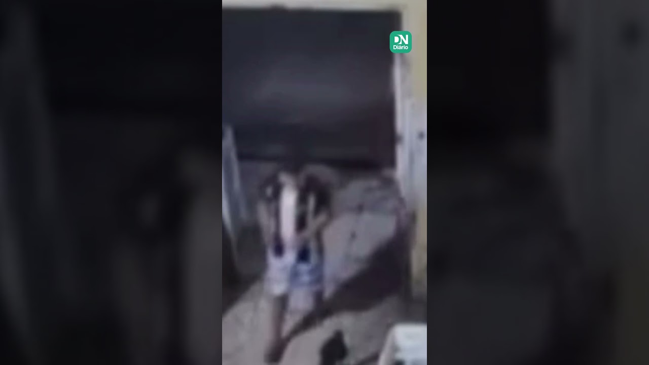 Imagem da notícia: Vídeo: grupo é detido por suspeita de tentar sequestrar crianças na Região Metropolitana de Fortaleza