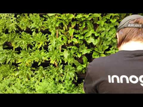 Itämerihaasteen nopeat kokeilut osa 1 / Baltic Sea Challenge speedy experiments part 1: Innogreen