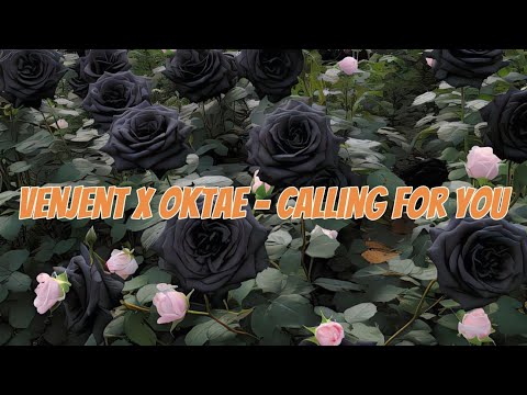 Venjent x Oktae - Calling For You [Official Lyrics & Videos]