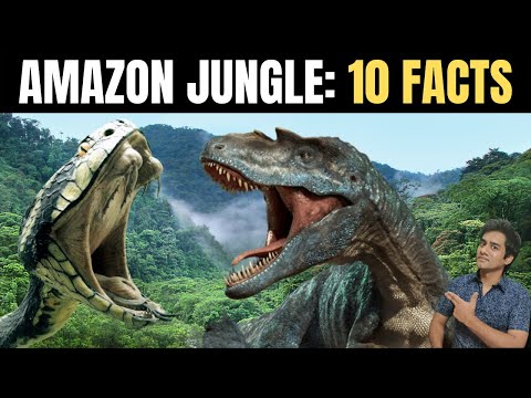 Amazon Jungle Video | अमेज़न का जंगल का रहस्य आप को हैरान कर देगी | Fact of Amazon Rainforest