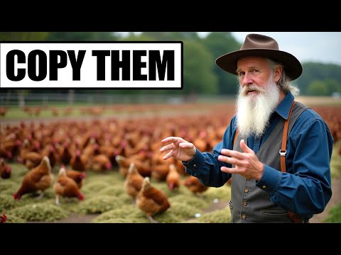 STOP Feeding Chickens Grains: Amish DO THIS instead For $1.25/Week