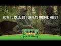 Calling Turkeys Off The Roost