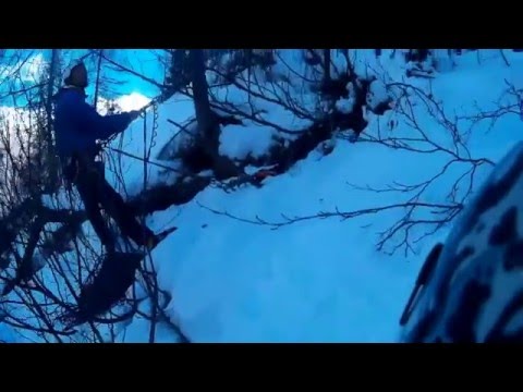 Ice climbing - Val Daone - Proxyma Cigni + Valzer della candela
