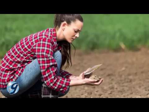 Identifying Soil Color with the Munsell Soil Color Book (HM-519)