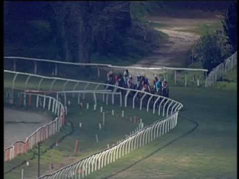 Galoppo 02/01/2020 - 6ª corsa