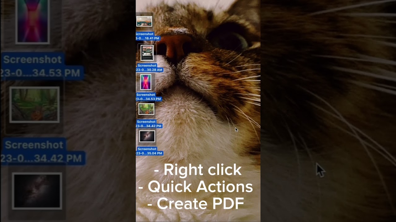 How to Create Multi-Page PDF File on Mac      #pdf #mac #macbook #coding #codingforbeginners