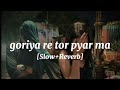 GORIYA RE TOR PYAR MA CG LOFI SONG GORIYA RE TOR PYAR MA LOFI SLOWED REVERB SONG CG SONG