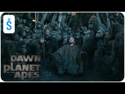 Dawn of the Planet of the Apes (2014) | Scene: Malcolm enter the apes' territory