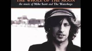16 THE WATERBOYS   LOVE ANYWAY THE WHOLE OF THE MOON