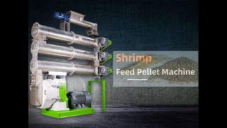 Shrimp Feed Pellet Machine Testing
