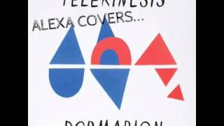 Telekinesis- Symphony [COVER]