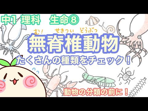 無脊椎動物の分類