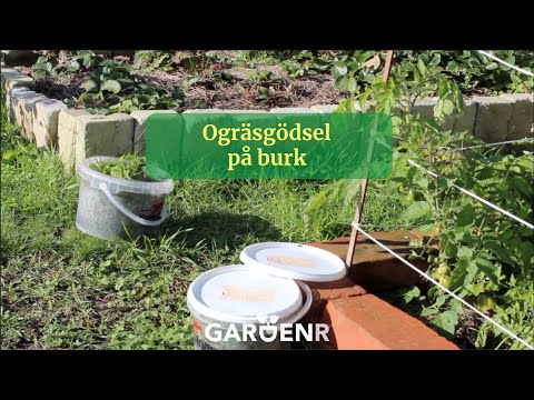 Ogräsgödsel på burk - Trädgårdshacks med GardenR