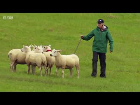 download lagu mp3 mp4 Julie Hill, download lagu Julie Hill gratis, unduh video klip Julie Hill