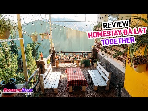 Review Together Homestay Đà Lạt | Homestay bình dân giá rẻ cho bạn