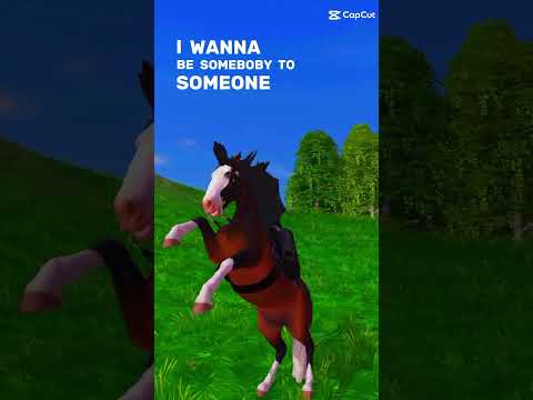 Alle meine Pferde in SSO.  Part 38   🩵 Challenger 🩵 #sso #horseriding #horse #starstable #freefire