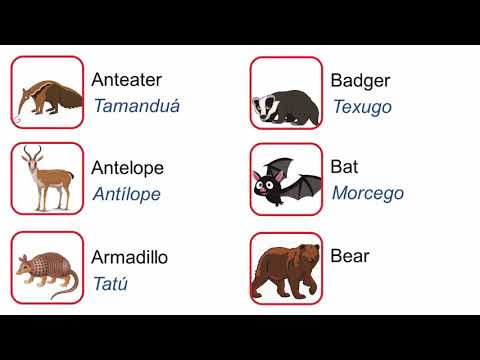 Curso de inglês passo a passo - Aula 131 - Mammals part 1