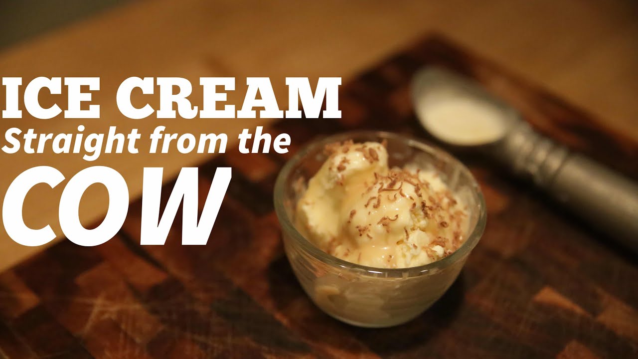 Watch video Making Raw Milk Ice Cream From Our Jersey Cow Now Making Raw Milk Ice Cream From Our Jersey Cow