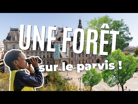 Découvrez la forêt urbaine de l'Hôtel de Ville ! - Ville de Paris