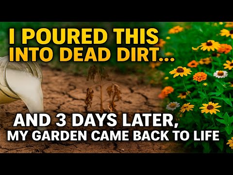 I Poured This Into Dead Dirt… And 3 Days Later, My Garden Came Back to Life