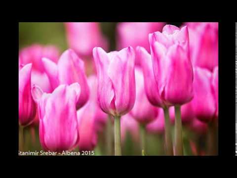 Albena a true beauty