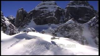 Helicopter drops adventure seeking skiers on Himalayan mountain top!