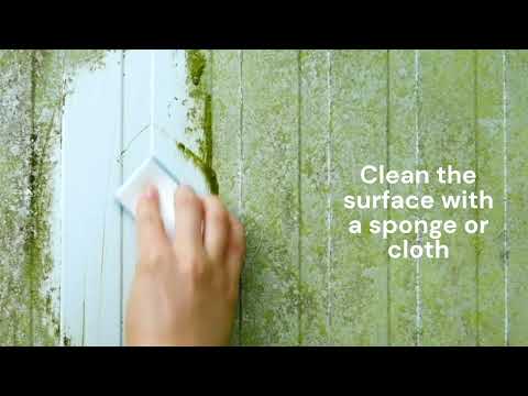 Cleaning a mossy facade with Biosativa