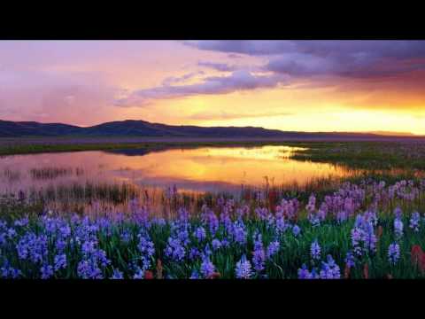 Ben Nicky feat. Linnea Schossow - Tears