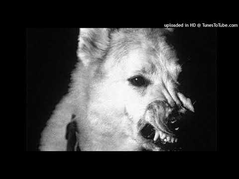 [FREE] ALPHA WANN X SPLURGE X RATU$ TYPE BEAT - ' DRIP '