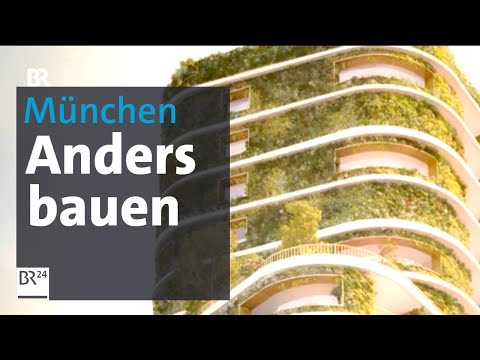 Mehr Holz, mehr Grün für München | Abendschau | BR24