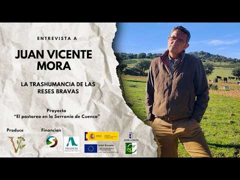 Esta ganadería mantiene viva la tradición de la trashumancia | Ancha es Castilla-La Mancha