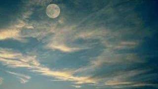 free falling sonique