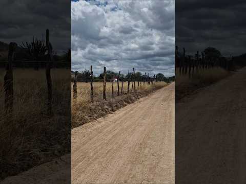 #pernambuco #nordeste #bomconselho  SECA NO SERTÃO DE PERNAMBUCO