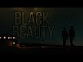 Theo Decker Black Beauty
