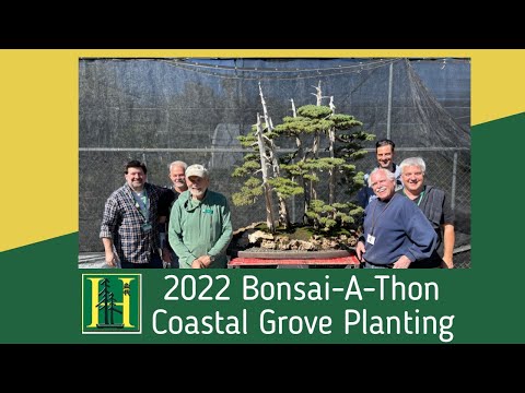 2022 Bonsai-A-Thon - Coastal Grove Planting Presented by Ted Matson