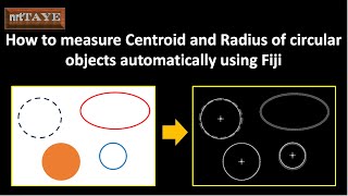 How to measure Centroid and Radius of Circular Objects automatically using Fiji
