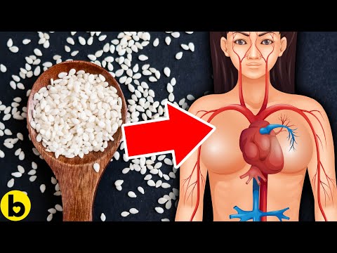 YouTube video about: Can cats eat sesame seeds?