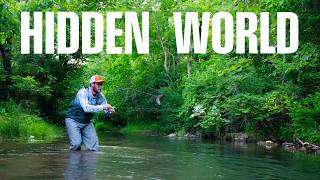Chasing the Forgotten Fish of Appalachia