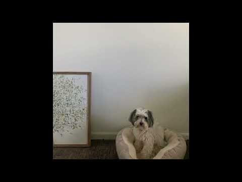 [FREE FOR PROFIT] Heylog x Brakence Hyperpop Type Beat - "simulation"