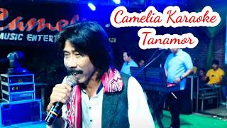 Download lagu Camelia tanamor karaokean full musik asli Camelia pelan tapi pasti Monggo mp3