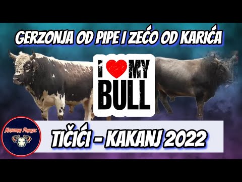 GERZONJA OD PIPE I ZEĆO OD KARIĆA TIČIĆI 2022 KORIDA