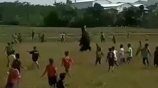 Download lagu Video Lucu Bocah Dikejar Dawangan mp3