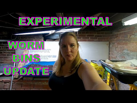 WORM BIN PROJECTS UPDATE JULY