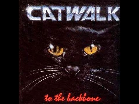 CATWALK - live in Steyr - its not easy