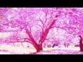 'Tenderness' Mix 