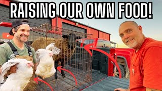 First Time Eating Lamb! Sustainable Ranch Living & A Visit to @TheCrockers