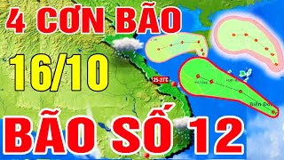 Dự báo thời tiết hôm nay mới nhất ngày 16/10 | Tin Bão Số 12 Mới Nhất | Dự báo thời tiết 3 ngày tới