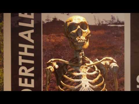 image-What is the museum at Prairiefire?